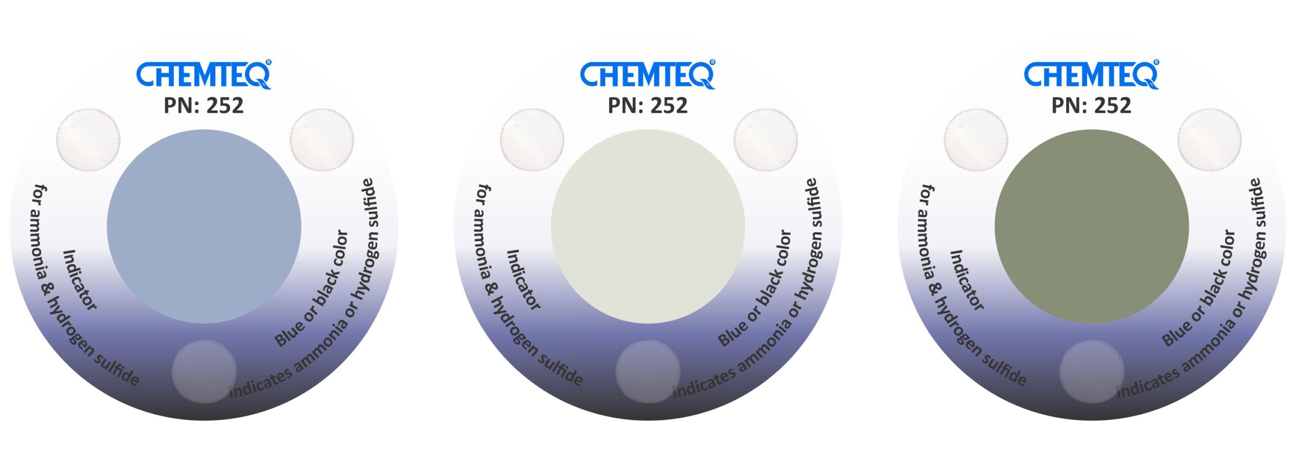 Ammonia & Hydrogen Sulfide Breakthrough Indicator Sticker Type B (BTIS B) - Image 2