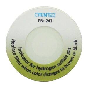 Hâ‚‚S Monitor & Hydrogen Sulfide Monitor & Gas Detector for Workplace Safety